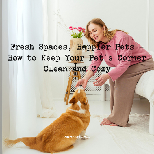Fresh Spaces, Happier Pets – How to Keep Your Pet’s Corner Clean and Cozy